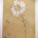 Piet Mondrian : Chrysanthemum, 1908 絵葉書